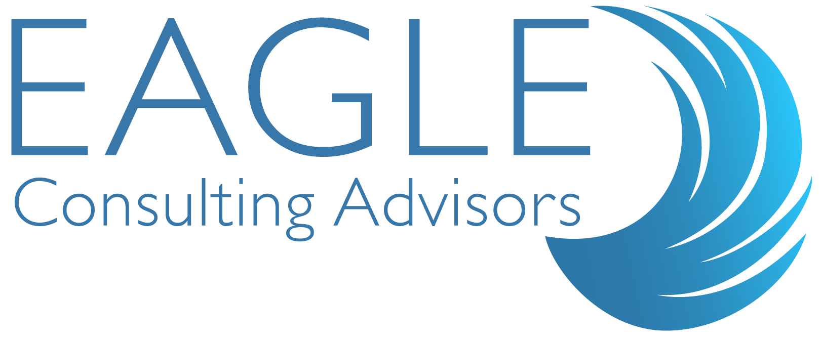 eagle-Consulting